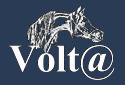 Portal Voltahorse.pl  jest patronem medialnym OMPMiD 2014